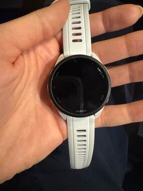 Garmin Mist Gray Forerunner 165